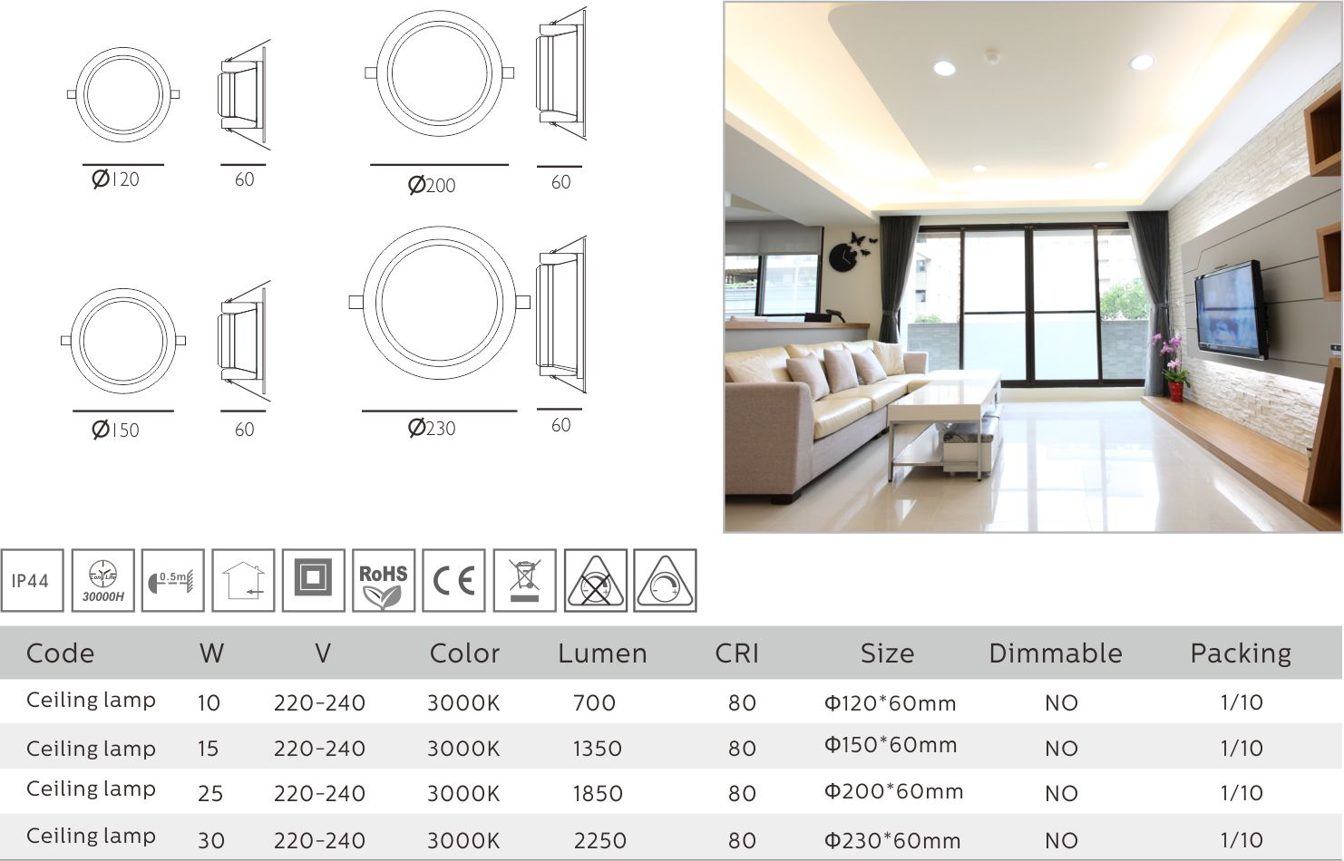 CEILLING LAMP-2.jpg